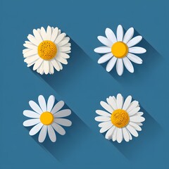 A beautiful illustration of four white daisies on a blue background