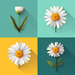 A colorful collage of white flowers on different backgrounds