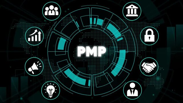 Project Management P M P Certification Infographic business finance
