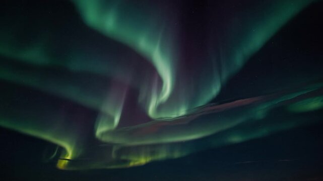 Aurora Borealis Colors Flowing with Green and Purple Ethereal Lights