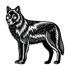 Gemini said

A diverse group of professional colleagues stands together in a bright modern office representing successful teamwork and inclusive corporate culture for high-quality commercial stock pho