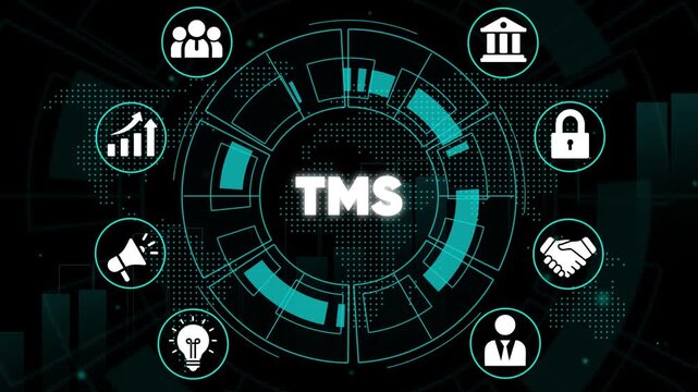 Transportation Management System T M S Logistics Infographic supply chain