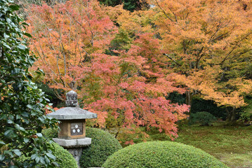 秋の雲龍院　灯籠の見える境内中庭(京都市東山区)