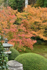 秋の雲龍院　灯籠の見える境内中庭(京都市東山区)
