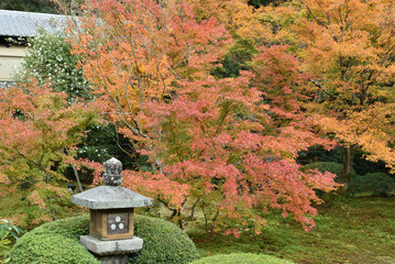秋の雲龍院　灯籠の見える境内中庭(京都市東山区)