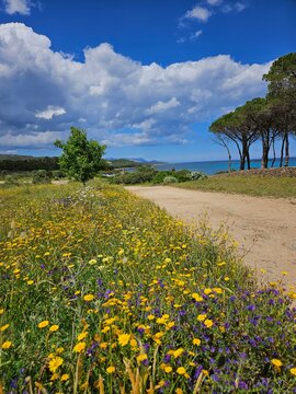 Crystal clear sea water with mountain landscape and blue sky with clouds. Sardinia, Italy