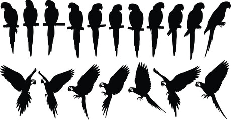 Parrot silhouette collection featuring perched and flying macaw poses isolated on light background detailed vector illustration set bundle © World_Of_Vector