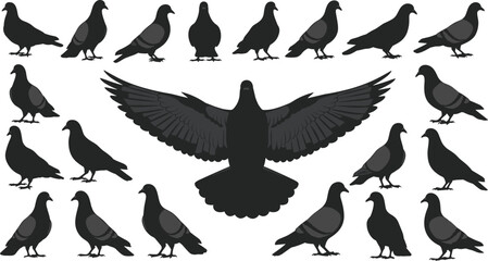 Fototapeta premium Realistic pigeon silhouette collection featuring flying standing and wings spread poses isolated on light background vector illustration set design pack bundle