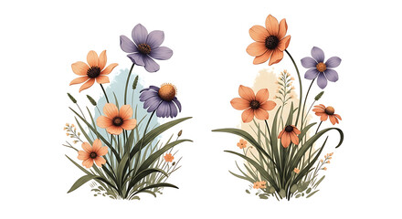 Wildflowers with orange and purple blooms isolated on a transparent background