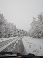 snow covered road in the north of Sweden 