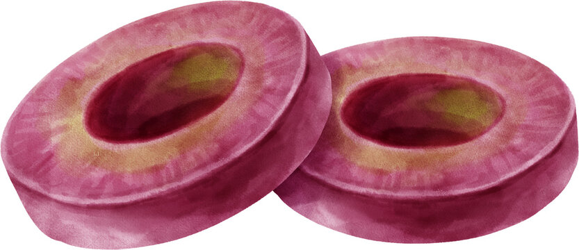 olive silce illustration