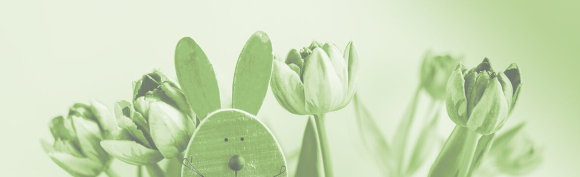 Frohe Ostern, Dekoration mit Osterhase und Tulpen Banner