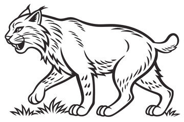 Obraz premium Hand Drawn Lynx Line Art Illustration, Wild Cat Animal Outline Sketch, Black and White Wildlife Drawing