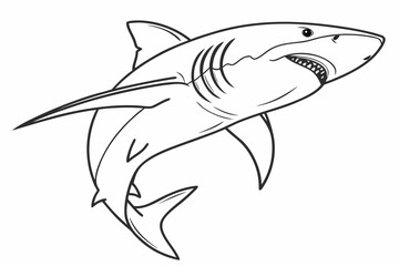 Fototapeta premium Hand Drawn Shark Line Art Illustration, Black and White Ocean Predator Outline Sketch, Detailed Marine Animal Drawing