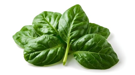 Fototapeta premium Raw Spinach Leaves with Natural Texture