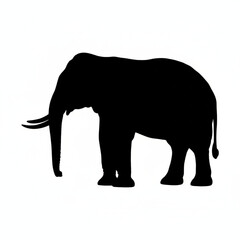 Fototapeta premium Elephant Silhouette Isolated on White Background