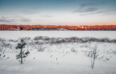 Winter landscape with frozen lake and trees
