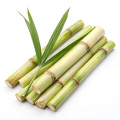 Fototapeta premium Fresh organic sugarcane stalks with green leaves isolated on white background