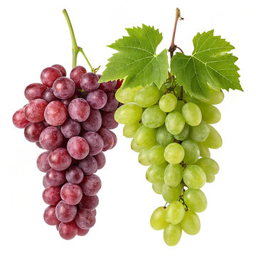 Fresh red and green grape clusters with green leaf isolated on white background.