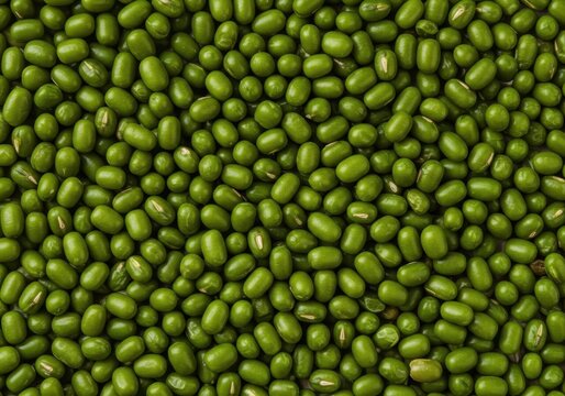 Vibrant, raw haricot vert beans scattered uniformly creating a textured, healthy, natural food background or pattern, healthy eating, cooking, nutrition