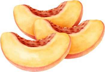 watercolor peach fruits