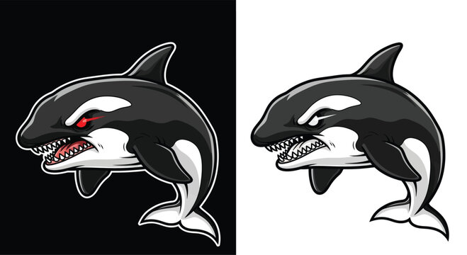 Aggressive cartoon orca mascot illustration with sharp teeth and red eyes on black and white backgrounds.