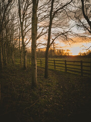 Sunset Over River and Path in Tranquil Nature Walk
