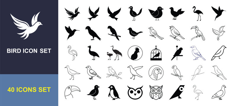 Bird Silhouette and Line Icon Set with Owl, Parrot, Flamingo, Sparrow, Eagle and Flying Bird Symbols
