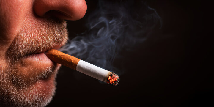 what is a plug of tobacco Chewing tobacco
