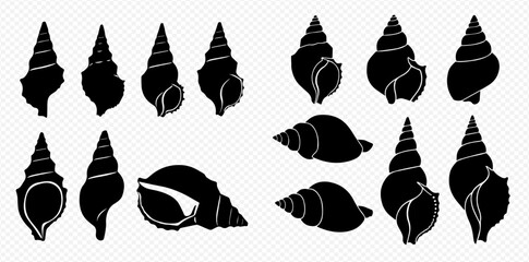 A collection of various marine seashell icons in a black silhouette style. © Akun