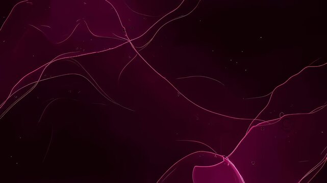 Abstract magenta wave pattern with glowing lines. Dark purple ink in motion background for modern design presentation.