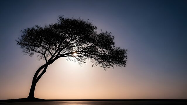 A lone tree silhouette at sunset on a serene landscape