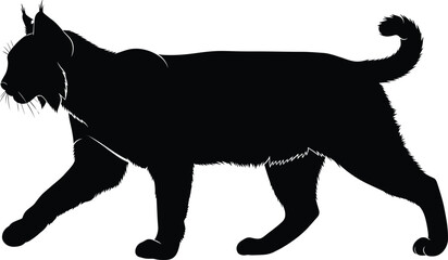Black lynx silhouette vector illustration, wild bobcat walking pose, predatory forest cat isolated on white background, wildlife nature graphic design. © Joybroto
