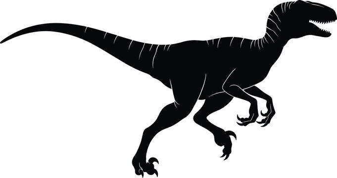 Black raptor dinosaur silhouette vector illustration, prehistoric velociraptor predator isolated on white, jurassic animal graphic for logo design and education.