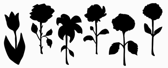 Black flower silhouettes illustartion. Simple floral silhouette for 8 March.