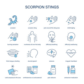 Scorpion Sting symptoms, diagnostic and treatment vector icon set