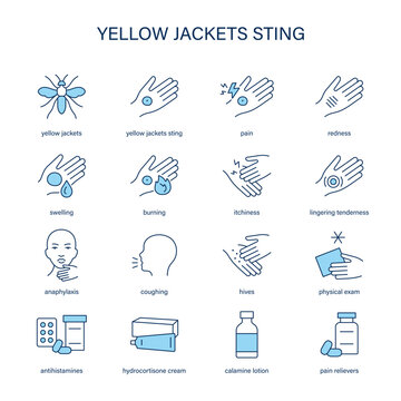 Yellow Jacket Sting symptoms, diagnostic and treatment vector icon set