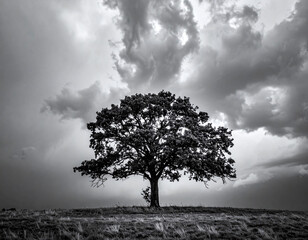 Obraz premium Powerful black and white image of a solitary tree under a dramatic, swirling storm sky. A metaphor for resilience and strength, ideal for atmospheric backgrounds or conceptual designs.