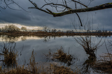 &Uuml;ber das Wasser schreit der Wind zwischen den B&auml;umen am fr&uuml;hen Abend