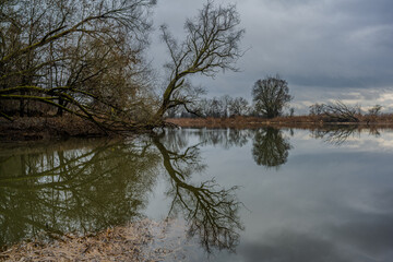 B&auml;ume und Wasser spiegeln sich am Ufer eines Flusses an einem bew&ouml;lkten Tag