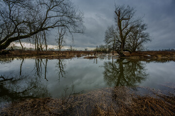 Eine Landschaft mit Wasser und B&auml;umen, die an einem bew&ouml;lkten Tag aufgenommen wurde