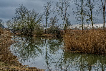 Ein Fluss mit B&auml;umen und Schilf im Herbst bei grauem Wetter