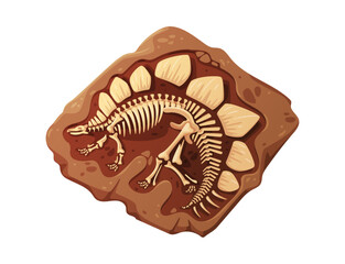 Stegosaurus Dinosaur Skeleton Fossil in Rock  © Riska