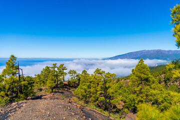 Beautiful landscape on la Palma island, Spain, in spring