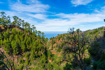 Beautiful landscape on la Palma island, Spain, in spring