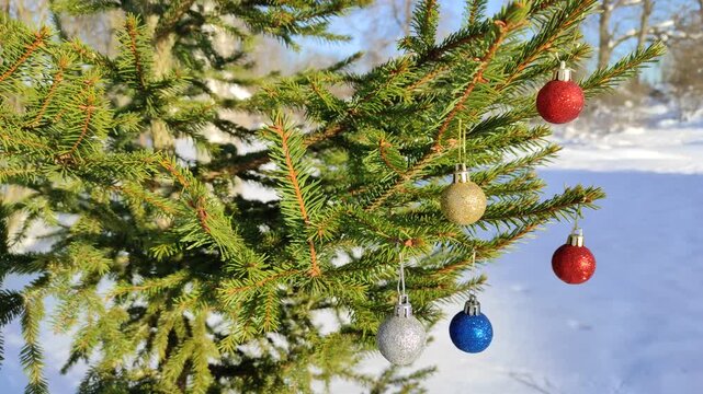 New Year's toys on a spruce branch