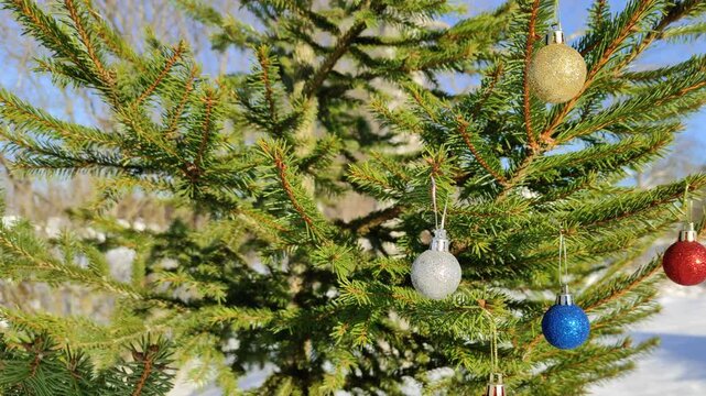 New Year's toys on a spruce branch №4