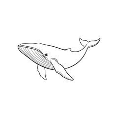 Simple black and white illustration of a whale swimming in the ocean viewed from the side © Bebek