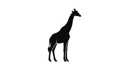 Black silhouette of a giraffe standing.