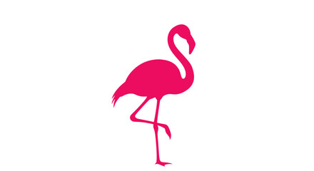 Pink Flamingo Bird Standing Alone.